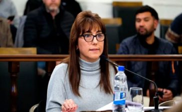 Reforma previsional. “Me dicen traidora, pero no voy a votar nada que perjudique a los trabajadores ni a los jubilados”, se defendió Domínguez