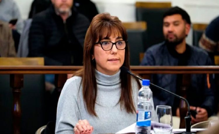 Reforma previsional. “Me dicen traidora, pero no voy a votar nada que perjudique a los trabajadores ni a los jubilados”, se defendió Domínguez