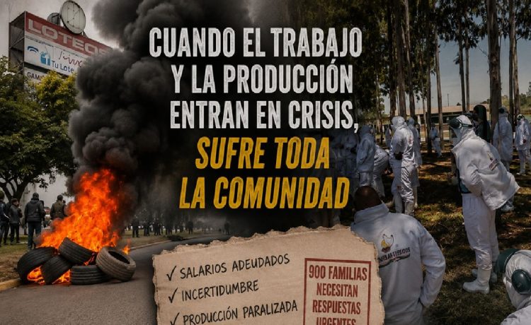 crisis laboral