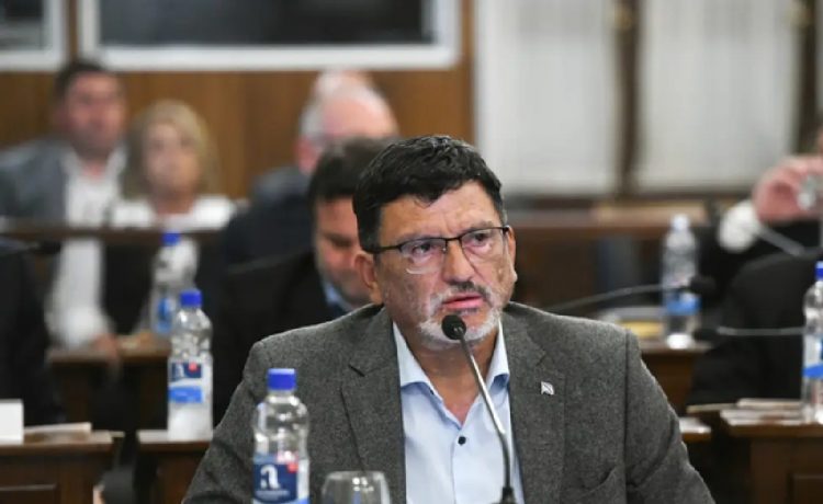 Vergara: “No se puede advertir durante 20 años que el sistema es inviable y actuar como si el problema hubiera empezado ahora”