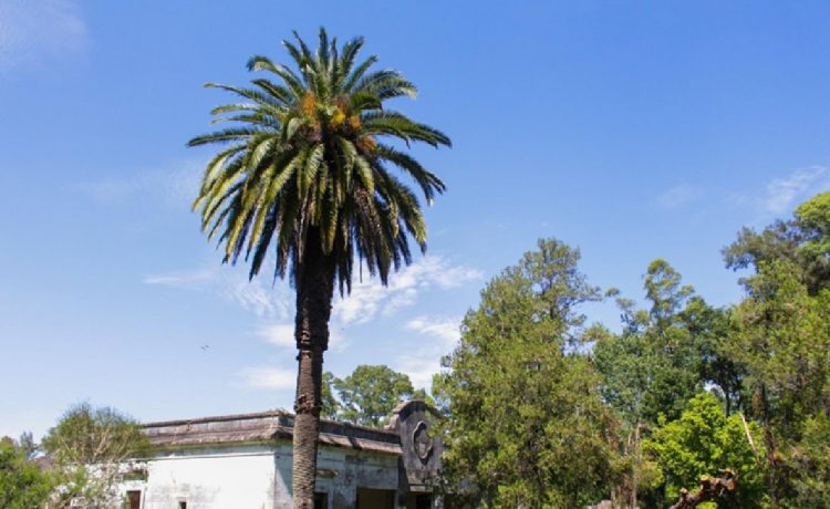 Mes del Ambiente: convocan a una recorrida guiada en Las Piedras