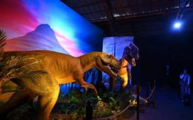 El fin de semana llega con atractivos para todas las edades a Gualeguaychú