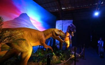El fin de semana llega con atractivos para todas las edades a Gualeguaychú