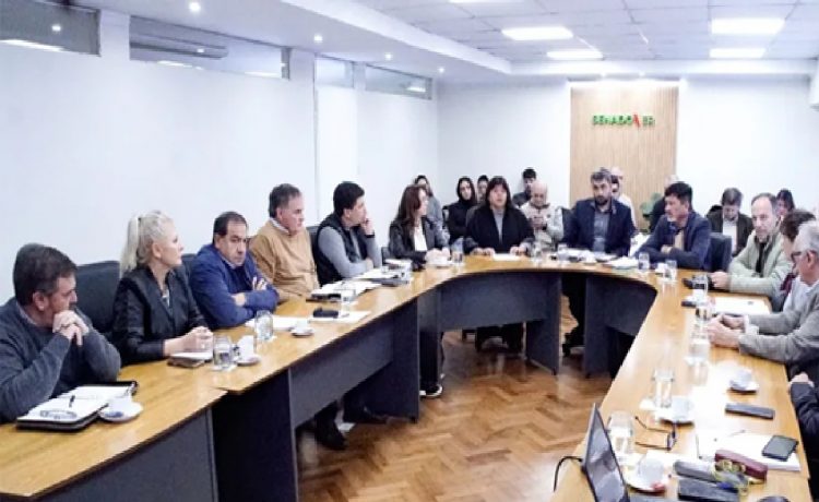 Reforma previsional: el Senado inicia la ronda de exposiciones para analizar el proyecto del Ejecutivo