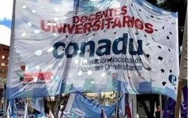 Docentes universitarios volverán a parar una semana completa