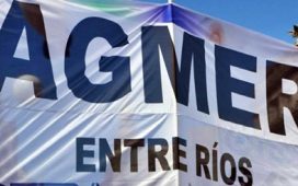 Rechazo a la reforma previsional: Agmer expondrá este miércoles en Senadores