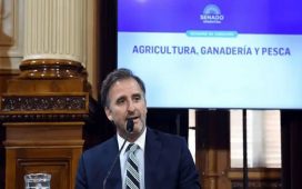 Al igual que Adorni, Benegas Lynch ingresó al régimen simplificado de la Ley de Inocencia Fiscal