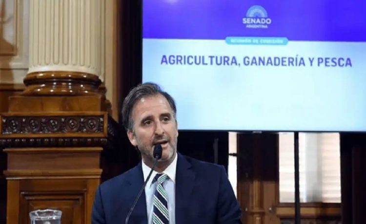 Al igual que Adorni, Benegas Lynch ingresó al régimen simplificado de la Ley de Inocencia Fiscal