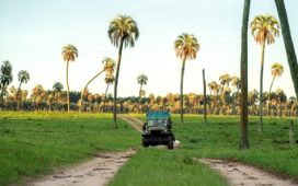 Condicionado por el clima, la economía y el Mundial, CAME afirmó que es un finde largo de “muy bajo movimiento turístico”