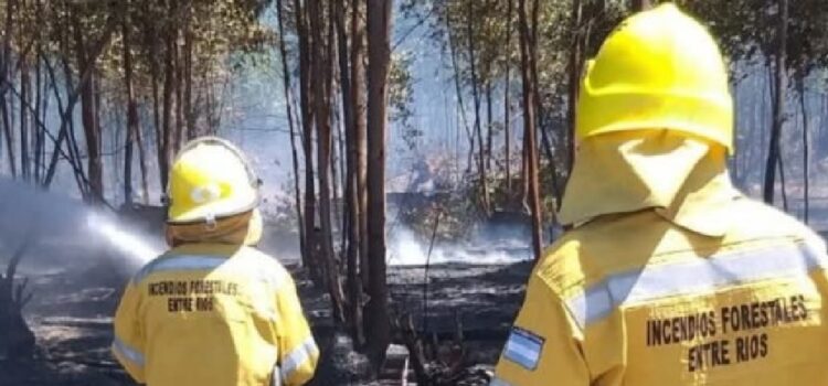 Bomberos Voluntarios piden sinceramiento de fondos provinciales