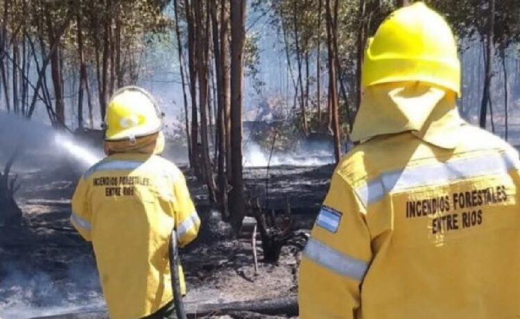 Bomberos Voluntarios piden sinceramiento de fondos provinciales