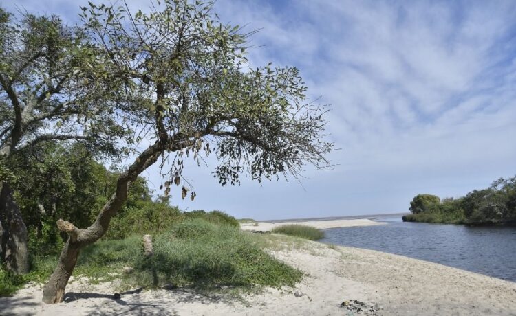 Los empresarios aceptan buscar mejoras en el contrato por la planta Arazatí