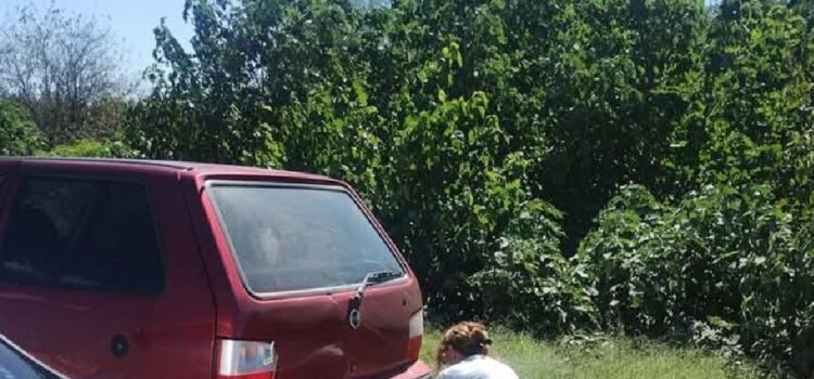 Vio que llevaban un perro atado al paragolpes, obligó a la conductora a parar y realizó la denuncia