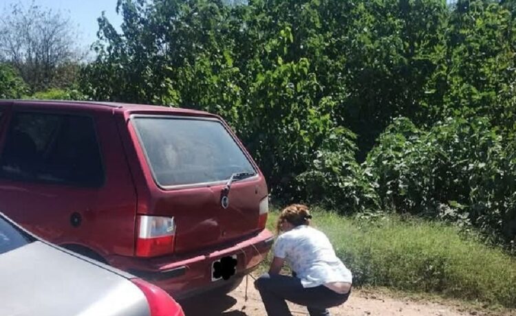 Vio que llevaban un perro atado al paragolpes, obligó a la conductora a parar y realizó la denuncia