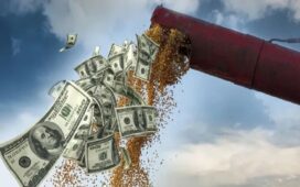 Proyecciones para el agro uruguayo: sufren la soja y el maíz mientras que la carne mejora