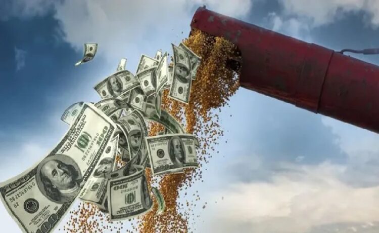 Proyecciones para el agro uruguayo: sufren la soja y el maíz mientras que la carne mejora