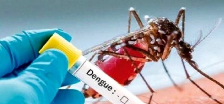 Paysandú: Se confirmó el primer caso “autóctono” de dengue del año