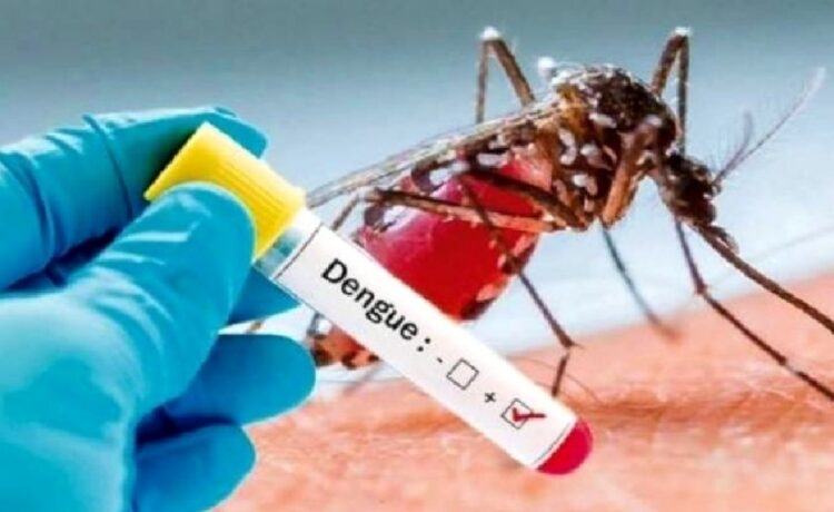 Paysandú: Se confirmó el primer caso “autóctono” de dengue del año