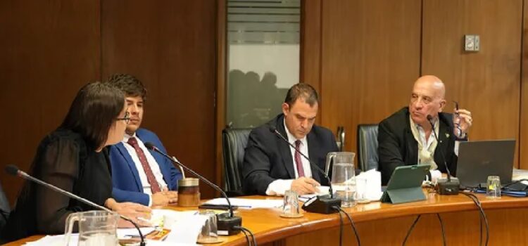La Comisión de Constitución de Diputados acordó que los ingresos a las intendencias sean por concurso
