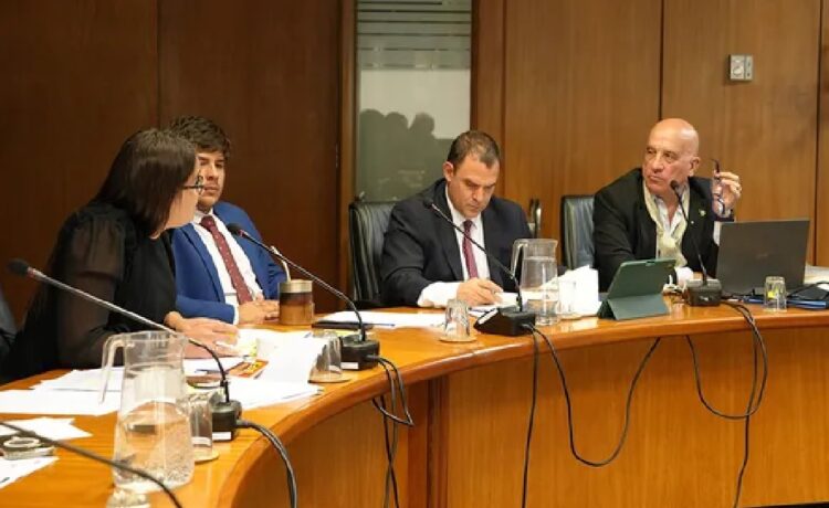 La Comisión de Constitución de Diputados acordó que los ingresos a las intendencias sean por concurso