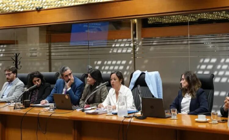 Fernanda Cardona atribuyó la deuda de Ancap a un préstamo que "llama la atención" y una "mala gestión" de la parada técnica