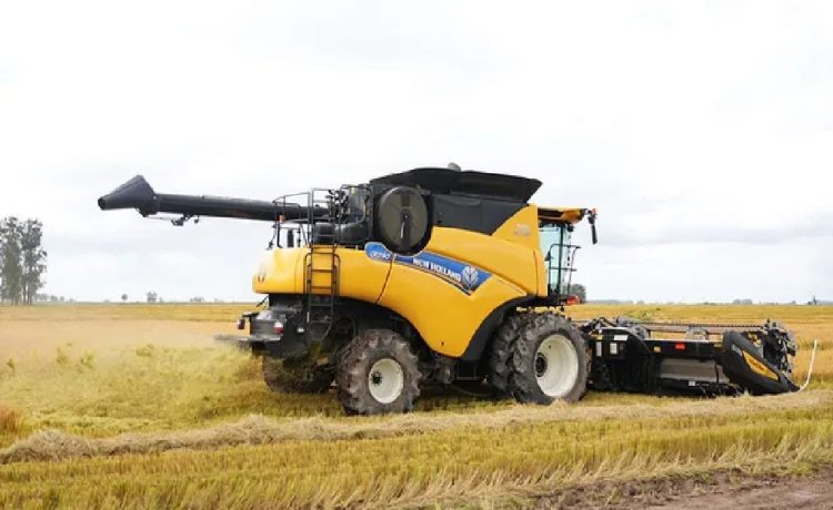 Hito en la cosecha de arroz: fue la de mayor volumen en la historia del Uruguay