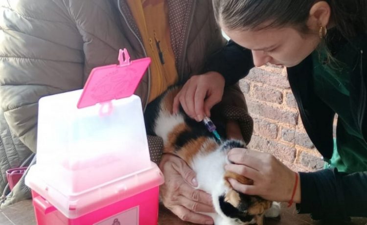 La Municipalidad inició la Campaña de Vacunación Antirrábica y Desparasitación 2025