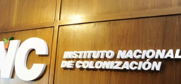 Uruguas: Tribunal de Cuentas detectó irregularidades graves en una compra millonaria del Instituto Nacional de Colonización