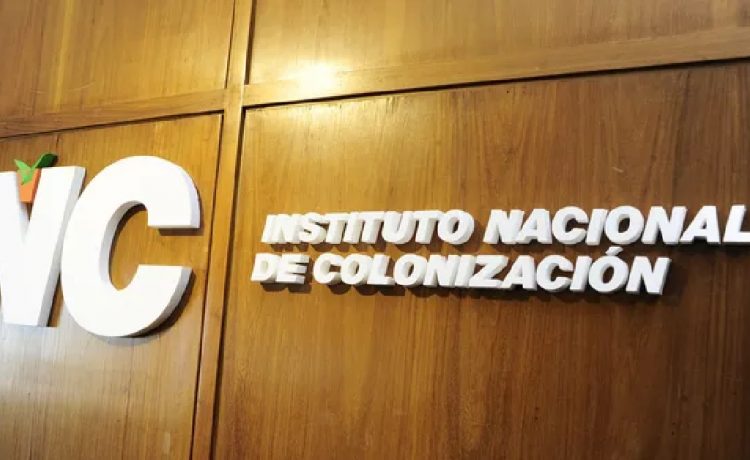 Uruguas: Tribunal de Cuentas detectó irregularidades graves en una compra millonaria del Instituto Nacional de Colonización