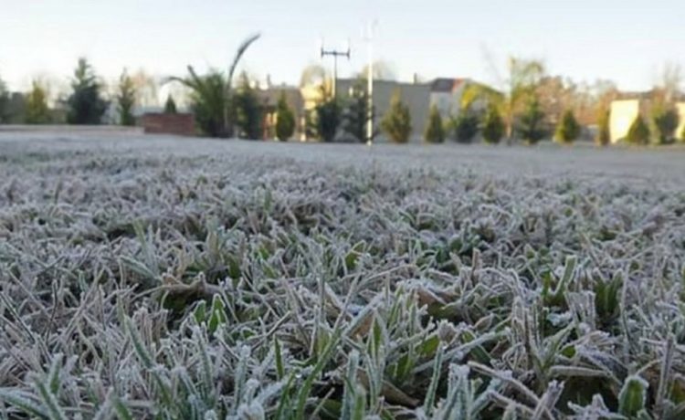 Gualeguaychú en alerta amarilla por frío extremo: se recomienda extremar los cuidados