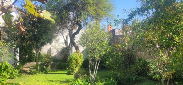 Sumate a los recorridos escénicos que propone “Gualeguaychú esclava”