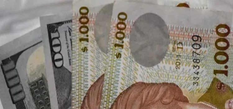 Uruguay, atraso cambiario: la Federación Rural reclama un dólar "de equilibrio" a $ 54