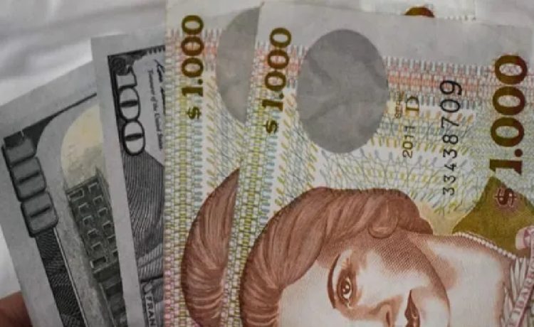 Uruguay, atraso cambiario: la Federación Rural reclama un dólar "de equilibrio" a $ 54