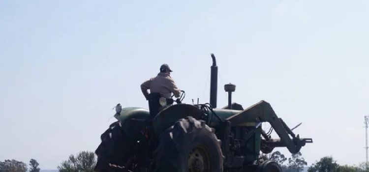 Productores del Mercosur consideran "inaceptable" la regulación de deforestación europea