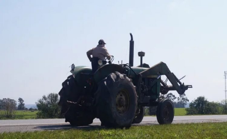 Productores del Mercosur consideran "inaceptable" la regulación de deforestación europea