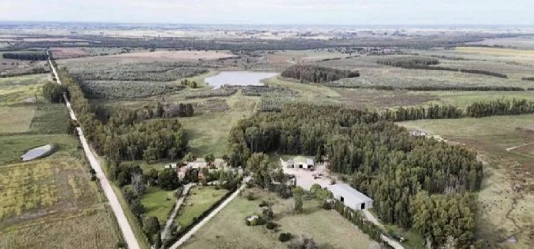 La oposición reflota la polémica en Colonización y señala inconsistencias en la compra de campos de Florida