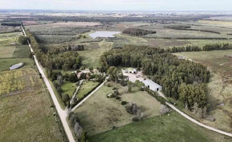 La oposición reflota la polémica en Colonización y señala inconsistencias en la compra de campos de Florida