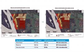 Ejecutivo de HIF habló sobre la planta frente a Colón: “Ya vamos a salir listos para construir”, dijo, y aportó datos sobre el agua y las chimeneas
