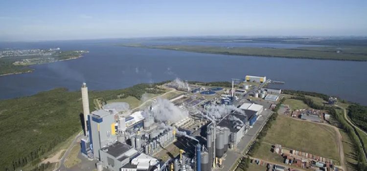 Ambiente resolvió una nueva multa para UPM tras el derrame de ácido sulfúrico ocurrido en marzo