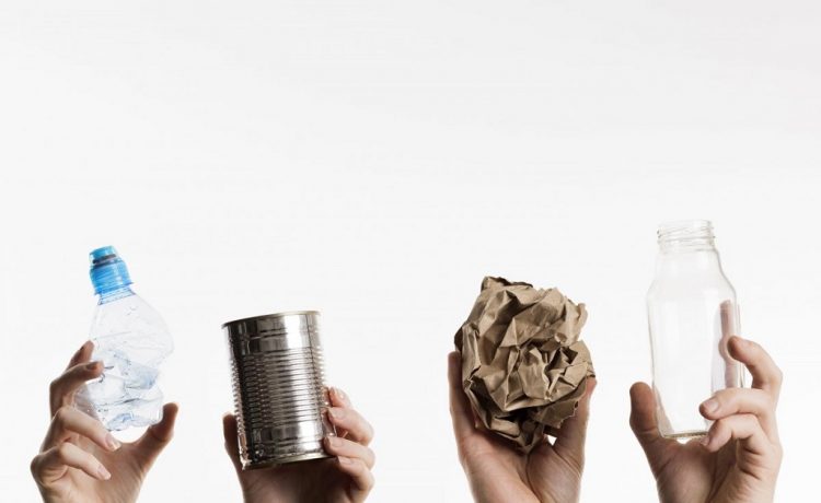 Gualeguaychú Sustenta: una propuesta para jugar, crear y aprender sobre el ambiente