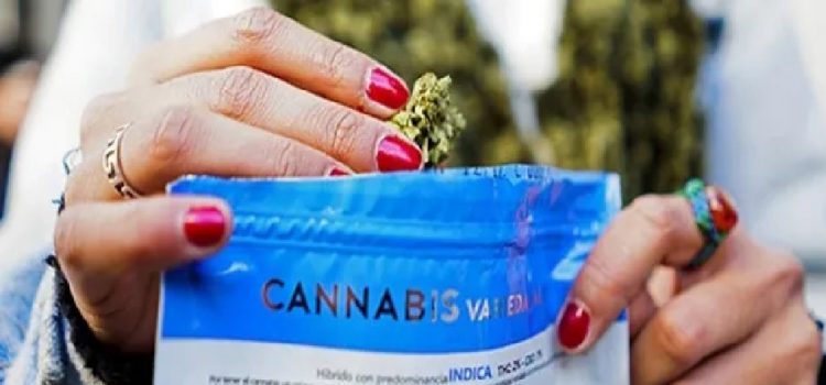 Sube el precio del cannabis, ¿a cuánto se consigue en las farmacias?