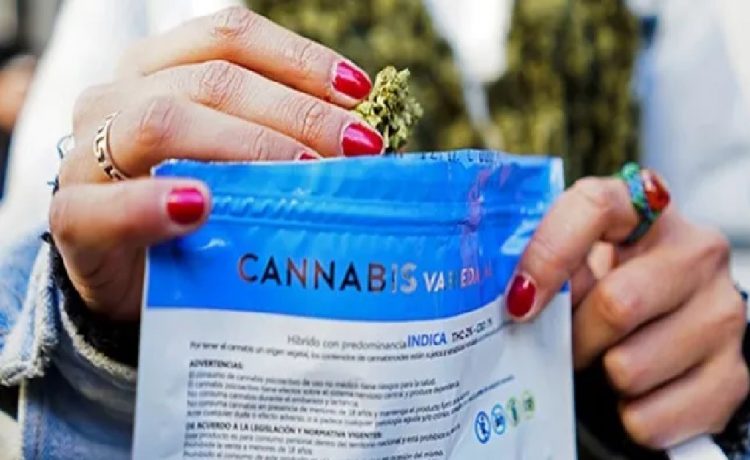 Sube el precio del cannabis, ¿a cuánto se consigue en las farmacias?