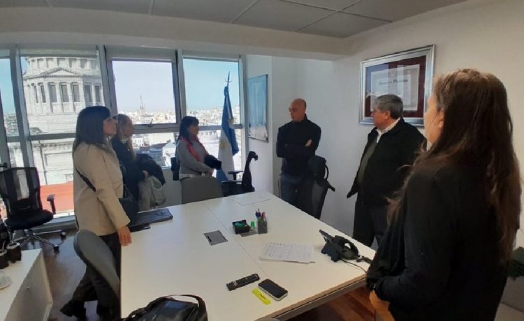 ONGs llevan al Congreso un pedido de apoyo a la Ley de Emergencia en Discapacidad y rechazo al veto presidencial