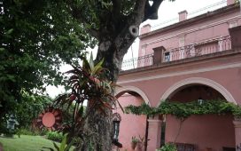 Los Museos Municipales tendrán horarios especiales durante el fin de semana largo