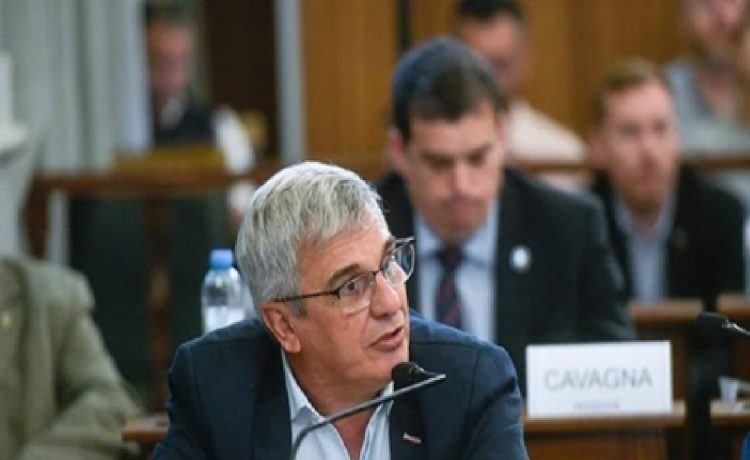 Carta abierta al senador Rubén Dal Molín - Por UCR Activa