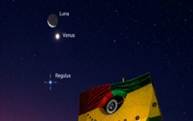 venus