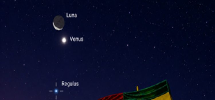 venus