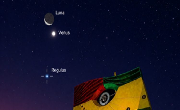 venus