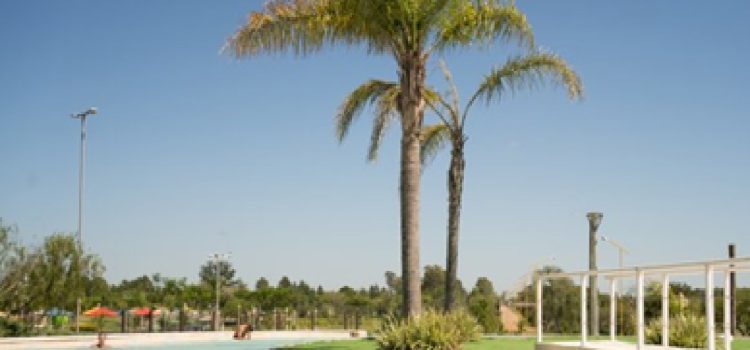Advierten que el sistema turístico atraviesa “una verdadera emergencia”
