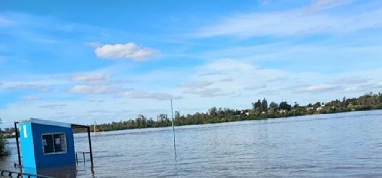 En informe, advierten que avanza una “onda de crecida” en el río Uruguay